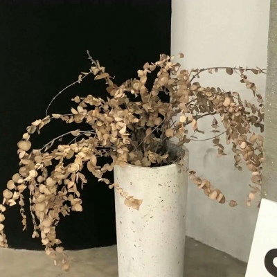 兽设海洋场景创作FurryQQ群